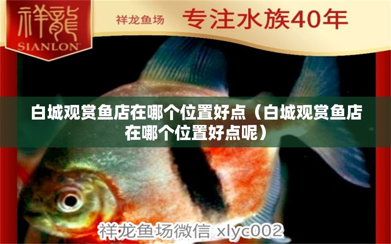 白城觀賞魚(yú)店在哪個(gè)位置好點(diǎn)（白城觀賞魚(yú)店在哪個(gè)位置好點(diǎn)呢） 祥龍魚(yú)場(chǎng)