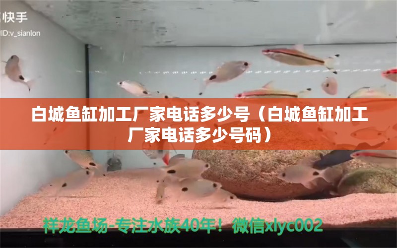 白城魚(yú)缸加工廠家電話多少號(hào)（白城魚(yú)缸加工廠家電話多少號(hào)碼） 祥龍魚(yú)場(chǎng)