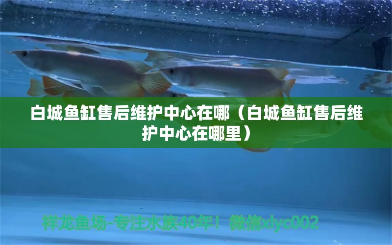 白城魚缸售后維護中心在哪（白城魚缸售后維護中心在哪里）