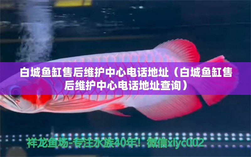 白城魚(yú)缸售后維護(hù)中心電話地址（白城魚(yú)缸售后維護(hù)中心電話地址查詢）