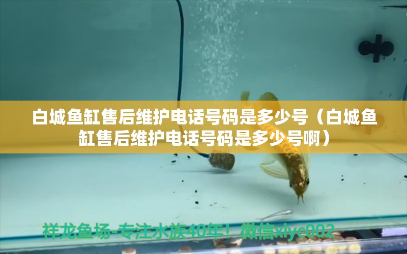 白城魚缸售后維護(hù)電話號(hào)碼是多少號(hào)（白城魚缸售后維護(hù)電話號(hào)碼是多少號(hào)?。?其他品牌魚缸