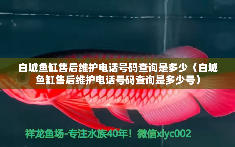 白城魚缸售后維護(hù)電話號碼查詢是多少（白城魚缸售后維護(hù)電話號碼查詢是多少號）