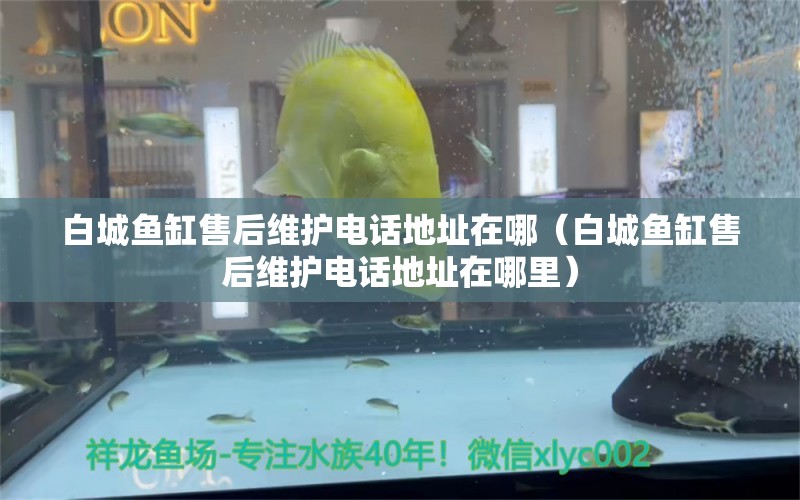 白城魚缸售后維護(hù)電話地址在哪（白城魚缸售后維護(hù)電話地址在哪里）