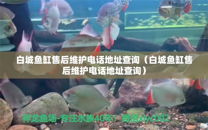 白城魚缸售后維護(hù)電話地址查詢（白城魚缸售后維護(hù)電話地址查詢）