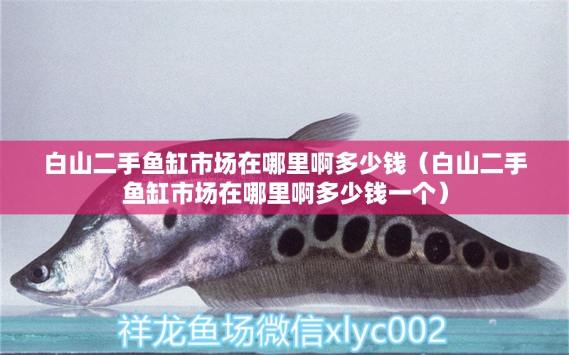 白山二手魚缸市場在哪里啊多少錢（白山二手魚缸市場在哪里啊多少錢一個(gè)） 魚缸清潔用具