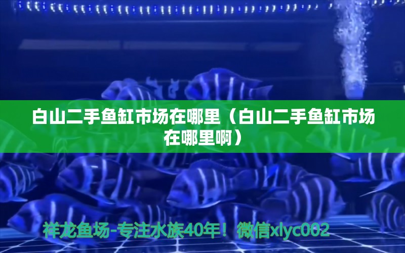 白山二手魚缸市場在哪里（白山二手魚缸市場在哪里?。?其他品牌魚缸