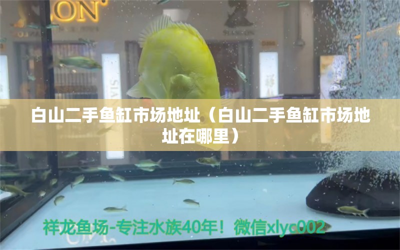 白山二手魚缸市場地址（白山二手魚缸市場地址在哪里） 其他品牌魚缸