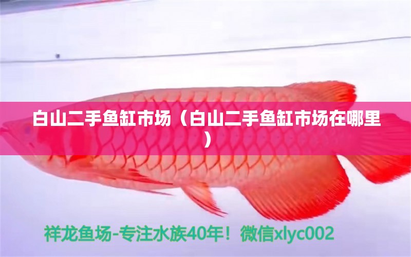 白山二手魚缸市場(chǎng)（白山二手魚缸市場(chǎng)在哪里） 其他品牌魚缸