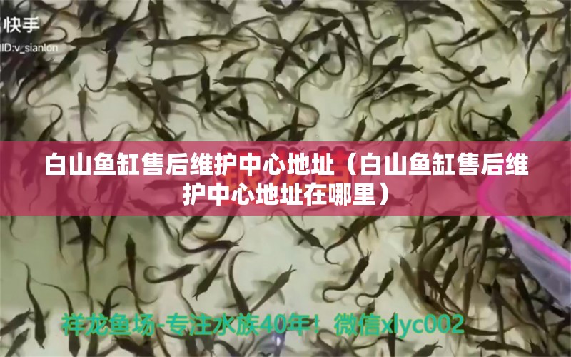 白山魚缸售后維護(hù)中心地址（白山魚缸售后維護(hù)中心地址在哪里）