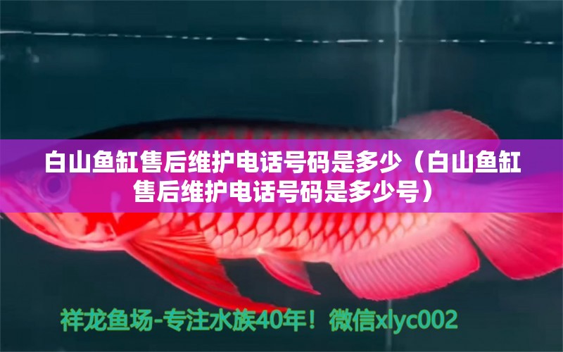 白山魚(yú)缸售后維護(hù)電話號(hào)碼是多少（白山魚(yú)缸售后維護(hù)電話號(hào)碼是多少號(hào)） 其他品牌魚(yú)缸