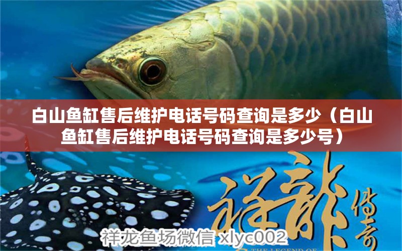 白山魚缸售后維護(hù)電話號碼查詢是多少（白山魚缸售后維護(hù)電話號碼查詢是多少號）