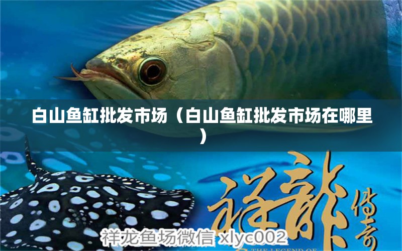 白山魚(yú)缸批發(fā)市場(chǎng)（白山魚(yú)缸批發(fā)市場(chǎng)在哪里）