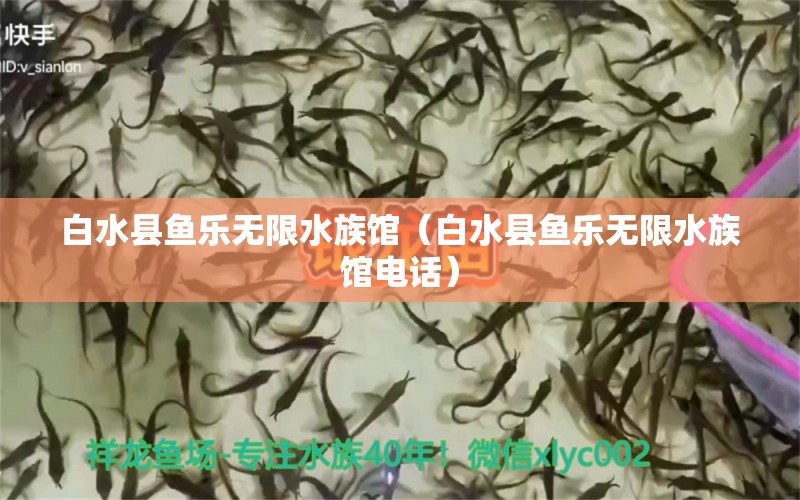 白水縣魚樂無限水族館（白水縣魚樂無限水族館電話）