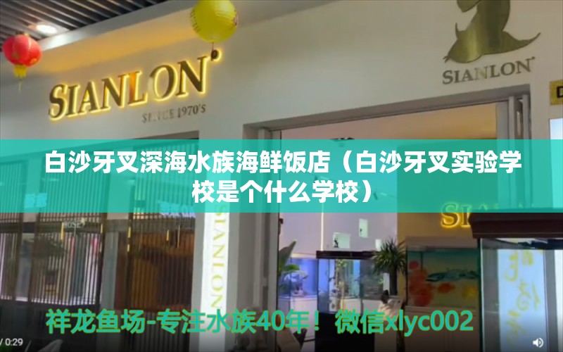 白沙牙叉深海水族海鮮飯店（白沙牙叉實(shí)驗(yàn)學(xué)校是個(gè)什么學(xué)校）