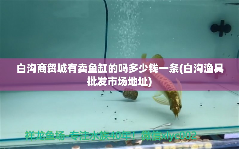 白溝商貿(mào)城有賣魚缸的嗎多少錢一條(白溝漁具批發(fā)市場(chǎng)地址) 森森魚缸