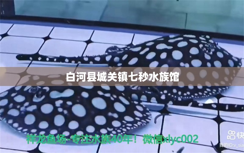 白河縣城關(guān)鎮(zhèn)七秒水族館