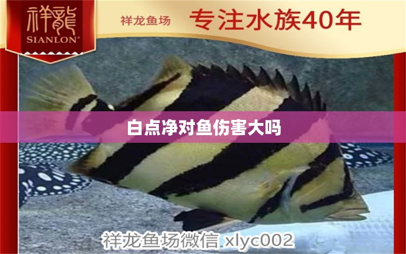 白點凈對魚傷害大嗎