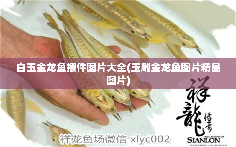 白玉金龍魚擺件圖片大全(玉雕金龍魚圖片精品圖片) 銀龍魚