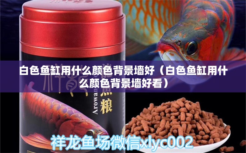 白色魚缸用什么顏色背景墻好（白色魚缸用什么顏色背景墻好看）