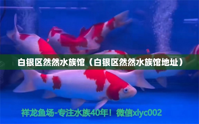 白銀區(qū)然然水族館（白銀區(qū)然然水族館地址） 全國(guó)水族館企業(yè)名錄