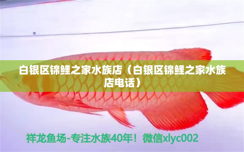 白銀區(qū)錦鯉之家水族店（白銀區(qū)錦鯉之家水族店電話）