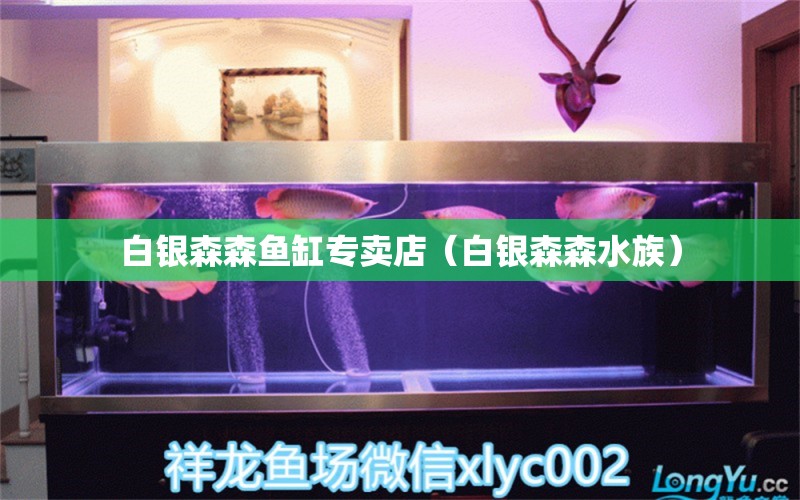 白銀森森魚缸專賣店（白銀森森水族）