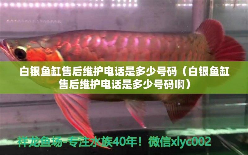 白銀魚(yú)缸售后維護(hù)電話是多少號(hào)碼（白銀魚(yú)缸售后維護(hù)電話是多少號(hào)碼?。?其他品牌魚(yú)缸