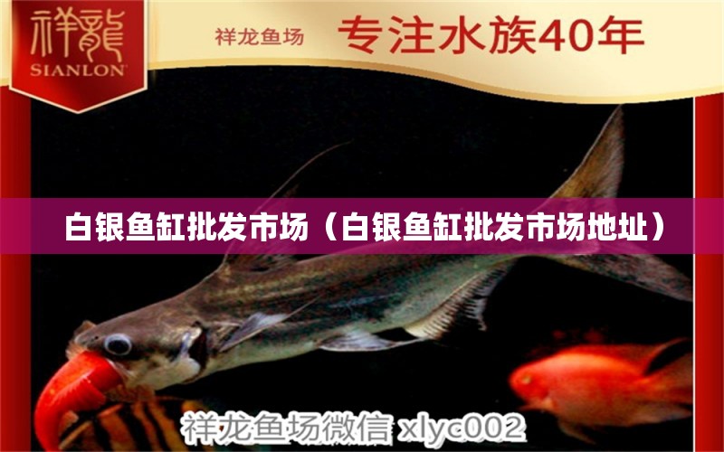 白銀魚(yú)缸批發(fā)市場(chǎng)（白銀魚(yú)缸批發(fā)市場(chǎng)地址）