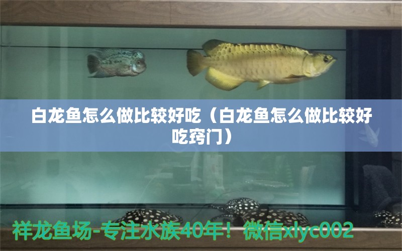 白龍魚怎么做比較好吃（白龍魚怎么做比較好吃竅門） 紅白錦鯉魚