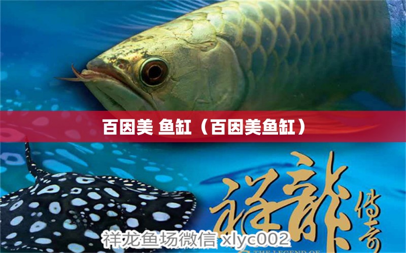 百因美 魚缸（百因美魚缸）