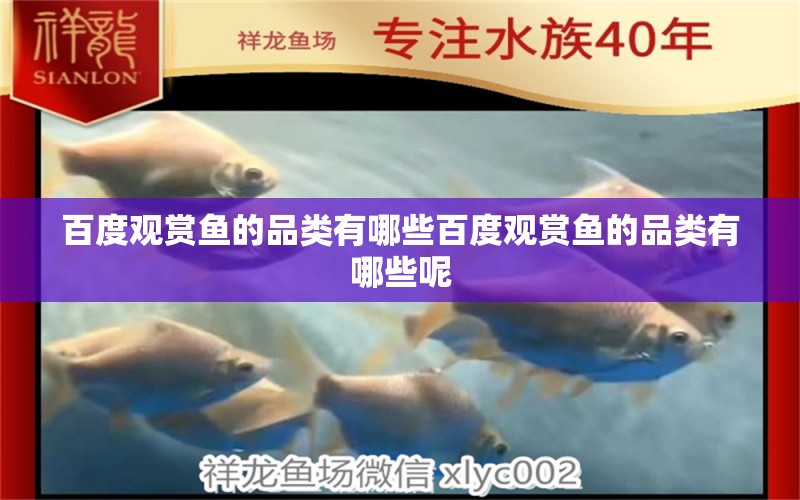 百度觀賞魚的品類有哪些百度觀賞魚的品類有哪些呢