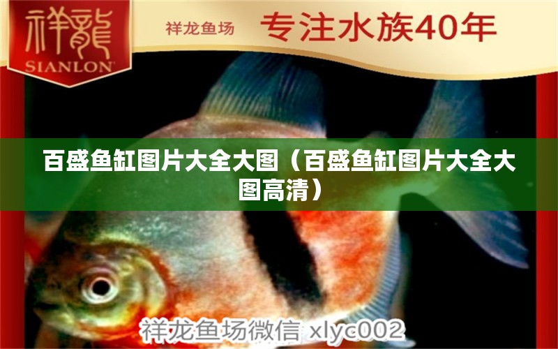 百盛魚缸圖片大全大圖（百盛魚缸圖片大全大圖高清） 祥龍水族醫(yī)院