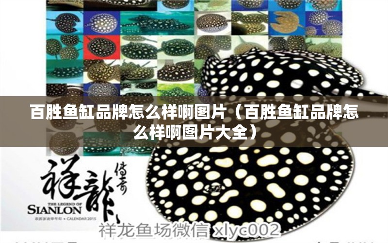 百勝魚缸品牌怎么樣啊圖片（百勝魚缸品牌怎么樣啊圖片大全） 祥龍水族醫(yī)院