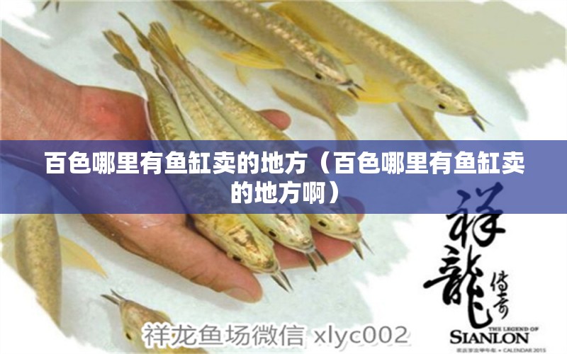 百色哪里有魚缸賣的地方（百色哪里有魚缸賣的地方?。? title=