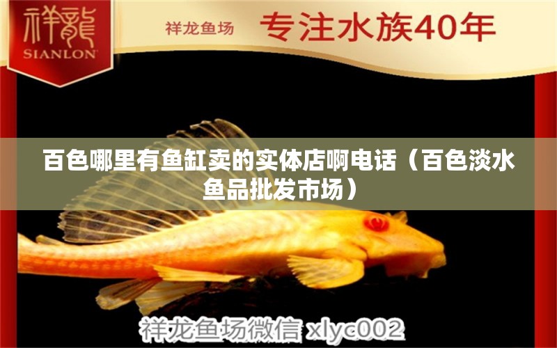 百色哪里有魚缸賣的實體店啊電話（百色淡水魚品批發(fā)市場）