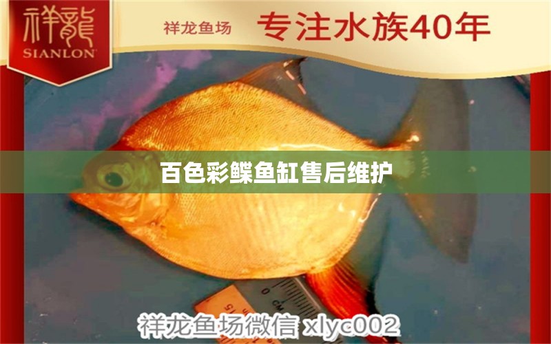 百色彩鰈魚(yú)缸售后維護(hù)