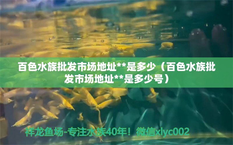 百色水族批發(fā)市場(chǎng)地址**是多少（百色水族批發(fā)市場(chǎng)地址**是多少號(hào)）