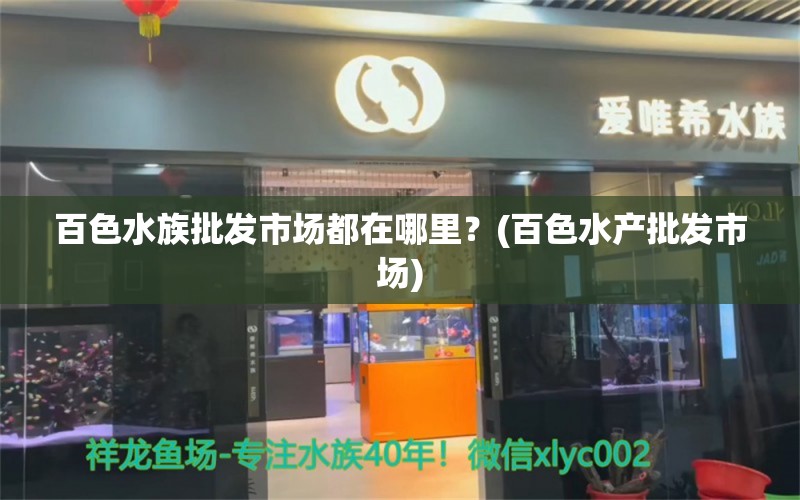 百色水族批發(fā)市場都在哪里？(百色水產批發(fā)市場) 觀賞魚水族批發(fā)市場