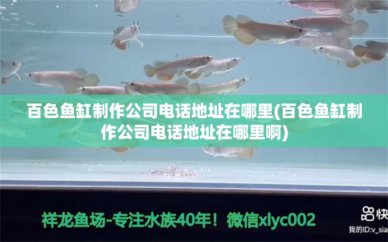 百色魚缸制作公司電話地址在哪里(百色魚缸制作公司電話地址在哪里啊) 泰國虎魚（泰虎）