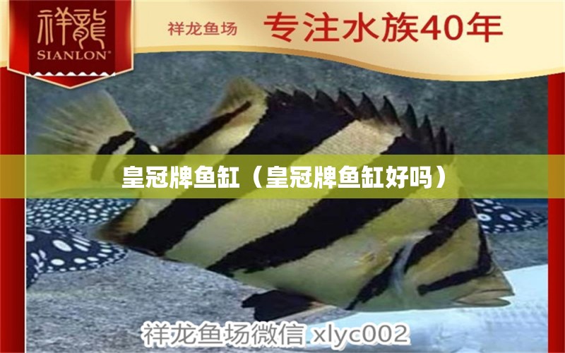 皇冠牌魚(yú)缸（皇冠牌魚(yú)缸好嗎）