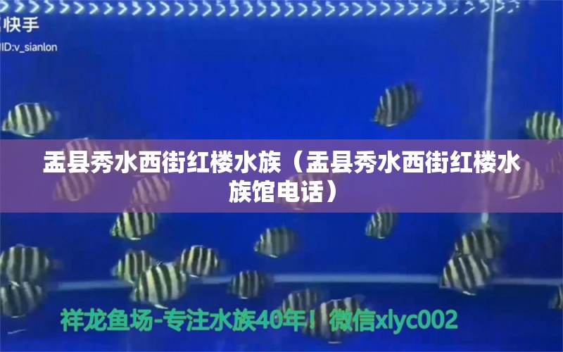 盂縣秀水西街紅樓水族（盂縣秀水西街紅樓水族館電話） 全國水族館企業(yè)名錄