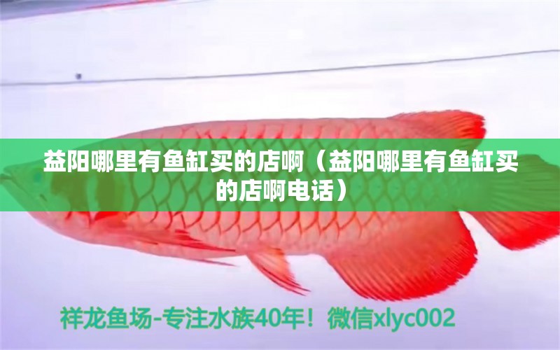 益陽哪里有魚缸買的店啊（益陽哪里有魚缸買的店啊電話） 觀賞魚水族批發(fā)市場