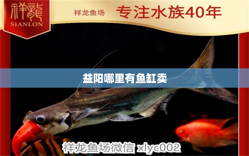 益陽(yáng)哪里有魚缸賣 其他品牌魚缸