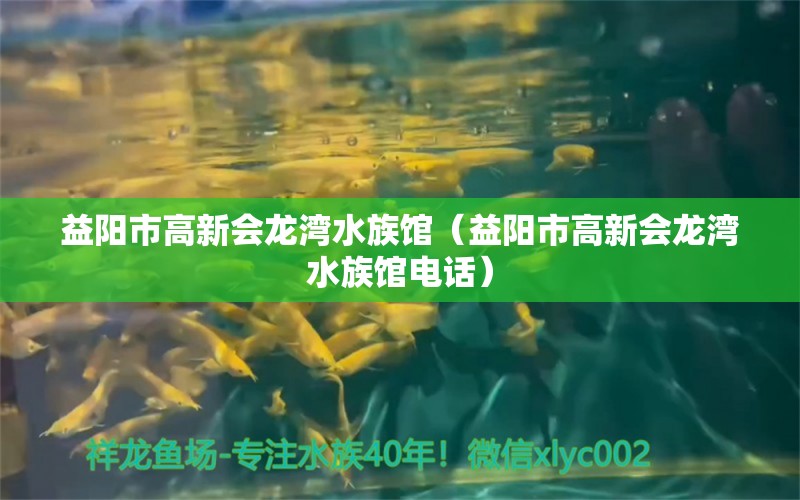 益陽(yáng)市高新會(huì)龍灣水族館（益陽(yáng)市高新會(huì)龍灣水族館電話）