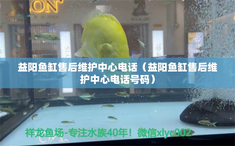 益陽魚缸售后維護中心電話（益陽魚缸售后維護中心電話號碼） 其他品牌魚缸