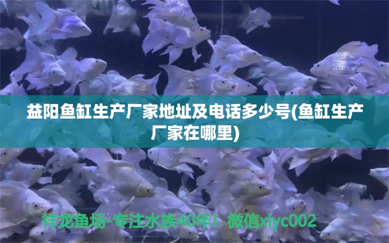 益陽魚缸生產(chǎn)廠家地址及電話多少號(魚缸生產(chǎn)廠家在哪里) 蘇虎 第1張