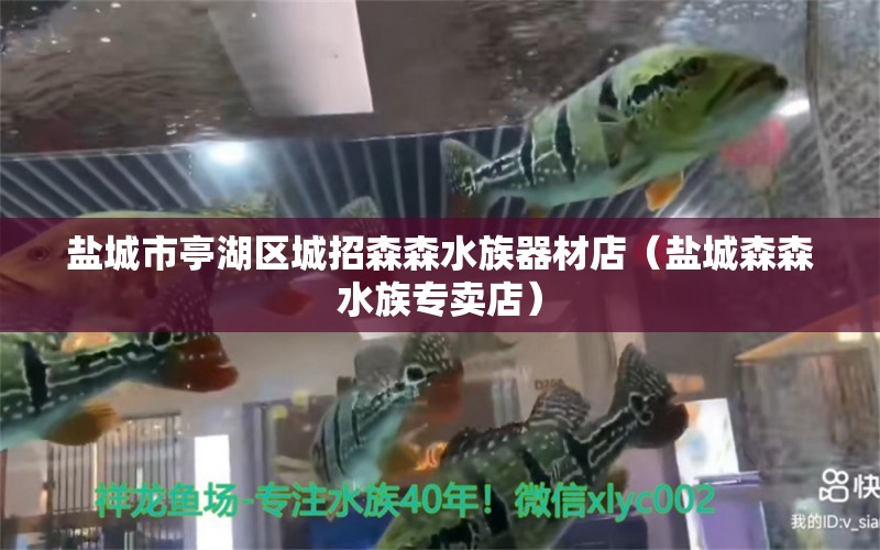 鹽城市亭湖區(qū)城招森森水族器材店（鹽城森森水族專賣店） 全國水族館企業(yè)名錄