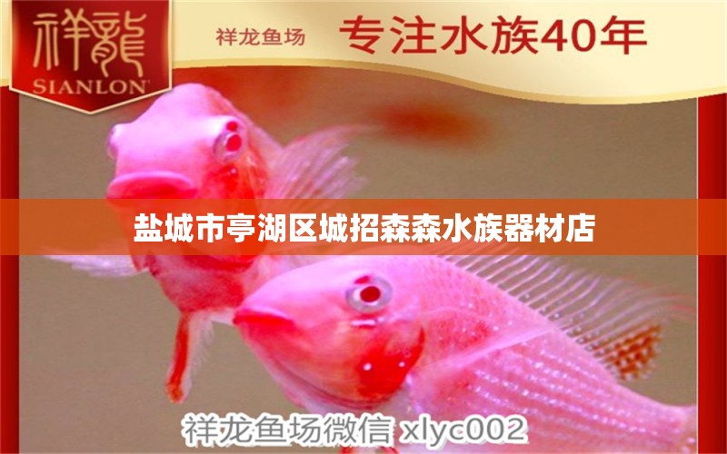 鹽城市亭湖區(qū)城招森森水族器材店