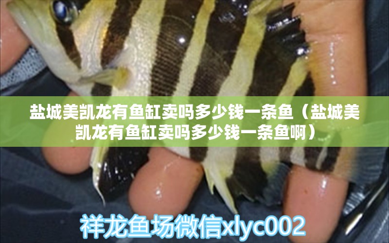 鹽城美凱龍有魚缸賣嗎多少錢一條魚（鹽城美凱龍有魚缸賣嗎多少錢一條魚?。?其他品牌魚缸