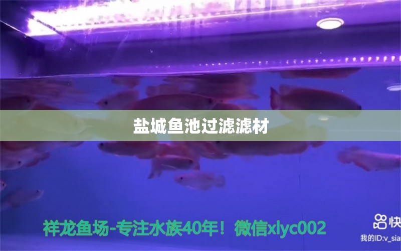 鹽城魚池過濾濾材